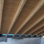 sanfilippo tetti (6)